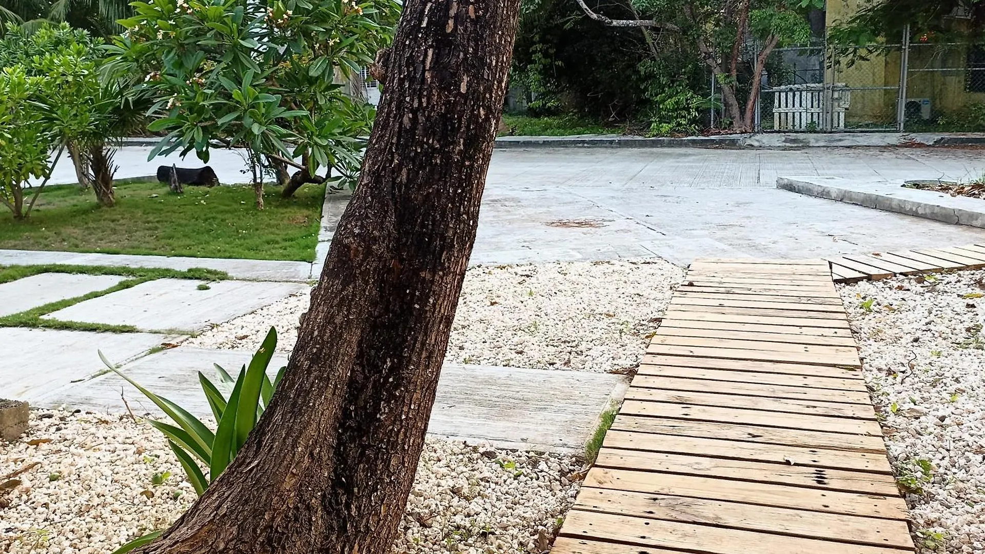 Molas By Walter De La Renta Cancún Apartment